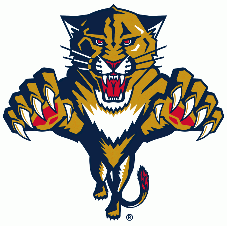 Florida Panthers1999-2016 Primary Logo t shirts iron on transfers